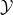 \mathcal{Y}